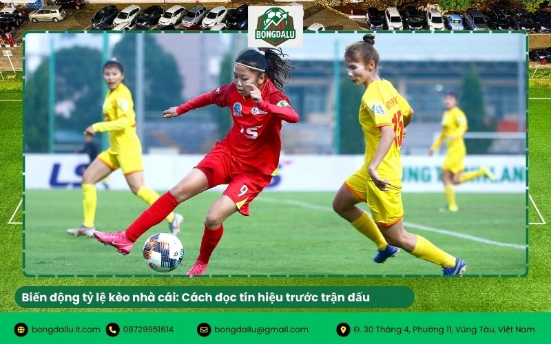 Biến động tỷ lệ kèo nhà cái: Cách đọc tín hiệu trước trận đấu