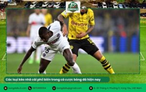 Các loại kèo nhà cái phổ biến trong cá cược bóng đá hiện nay