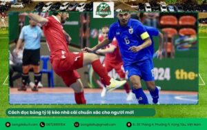 Cách đọc bảng tỷ lệ kèo nhà cái chuẩn xác cho người mới