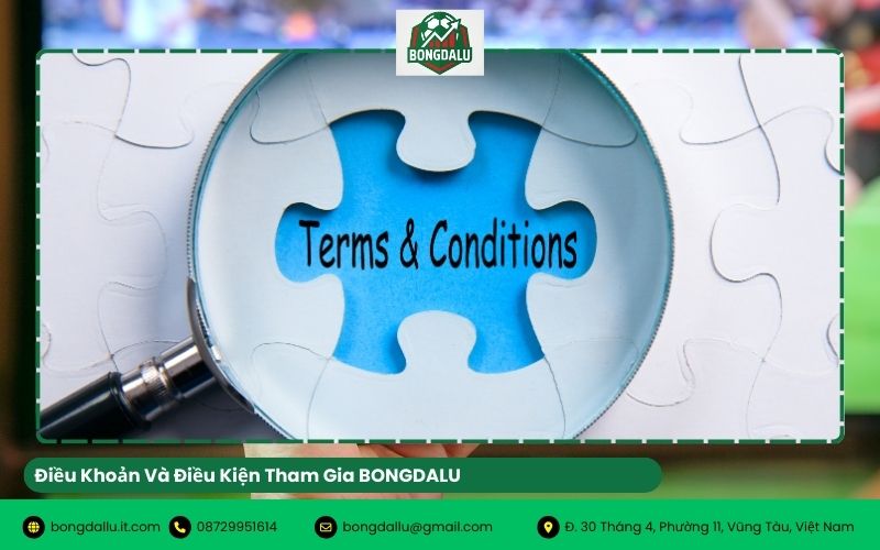 Điều Khoản Và Điều Kiện Tham Gia BONGDALU