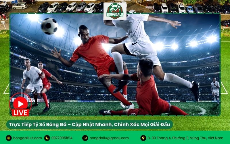 livescore Trực Tiếp Tỷ Số Bóng Đá