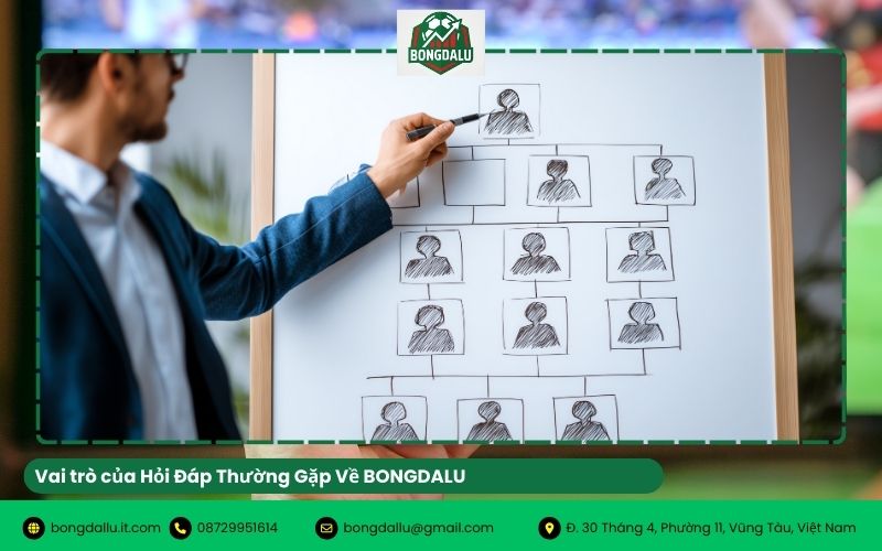 Vai trò của Hỏi Đáp Thường Gặp Về BONGDALU