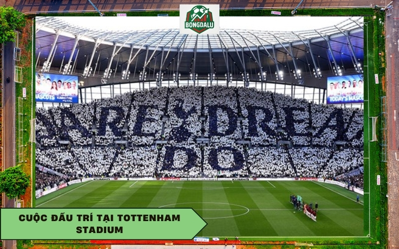 Cuộc đấu trí tại Tottenham Stadium