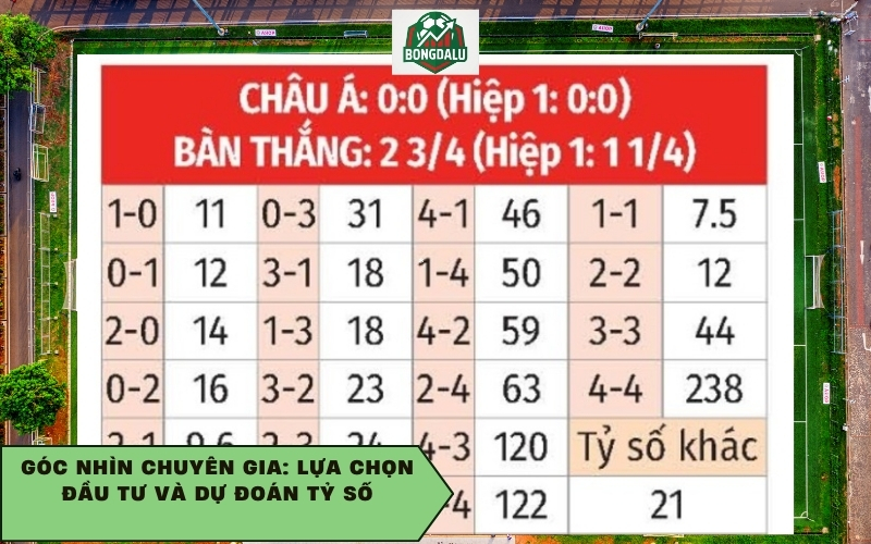 Góc nhìn chuyên gia: Lựa chọn đầu tư và dự đoán tỷ số