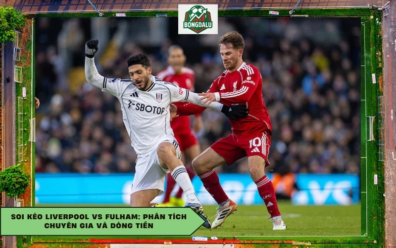 Soi kèo Liverpool vs Fulham: Phân tích chuyên gia và dòng tiền